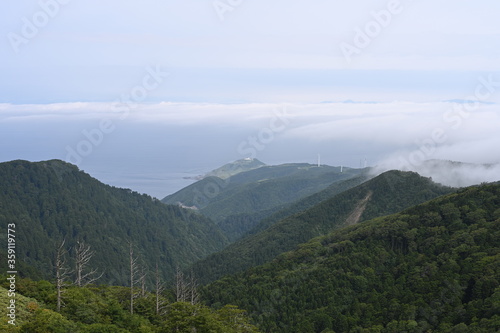 cape tappi in summer photo