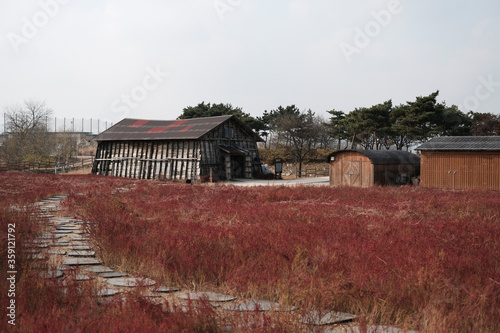 Ecological park. Gaetgol Eco Park in Siheung-si, South Korea.
 photo