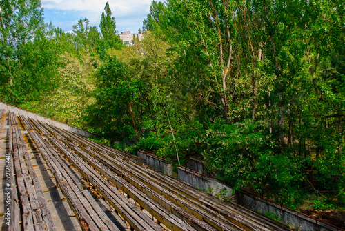 Trees grown just on the former sport stadium in Pripyat, a ghost town in northern Ukraine, evacuated the day after the Chernobyl disaster on April 26, 1986