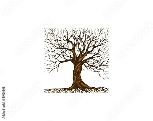 Abstract  dry tree logo design with vintage style