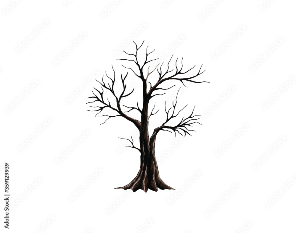 dried tree vector illustration, isolated on white