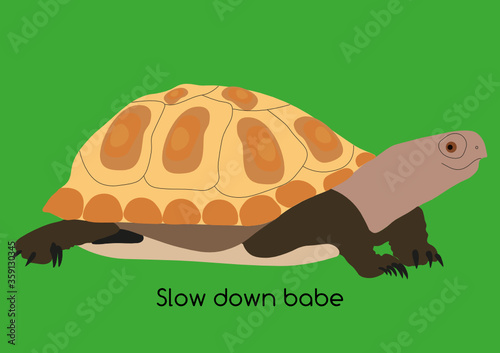 Colorful turtle with funny message