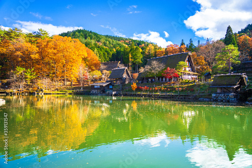 Autumn season landscape with colorful leaves background