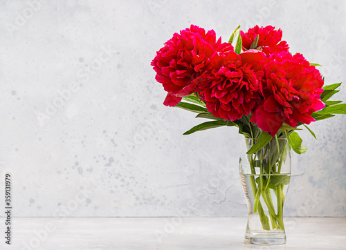 Vase with beautiful magenta peonies flowers on table against light grey concrete wall. Copy space for text.