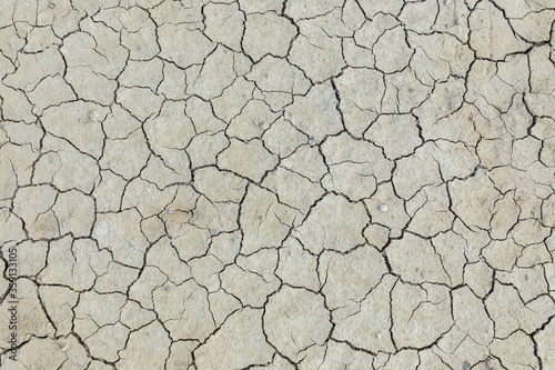 Dry, cracked mud on a desert floor