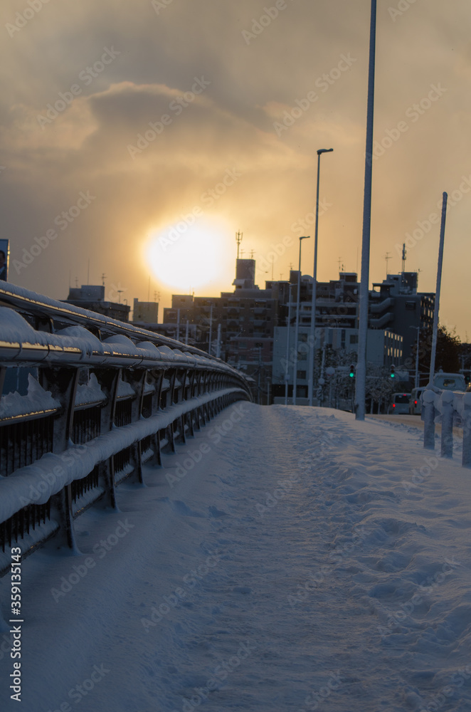 Fototapeta premium 朝日の当たる橋