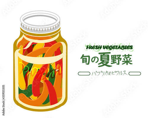 paprika vector illustration 3