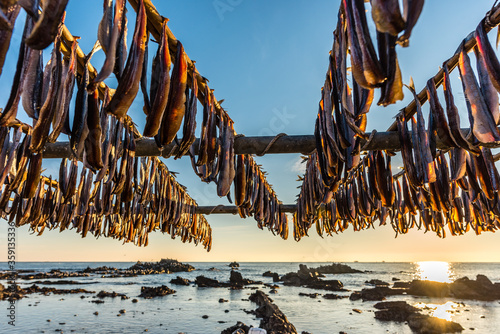 Gwamegi (dried saury) which is a specialty of Pohang, South Korea,(Guamegi)