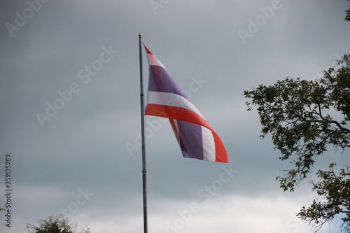 thailand flag with dark sky and tree