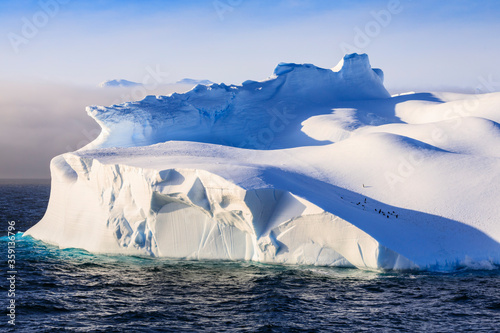 Penguins on huge iceberg, evening light and mist, Bransfield Strait, South Shetland Islands and Antarctic Peninsula, Antarctica