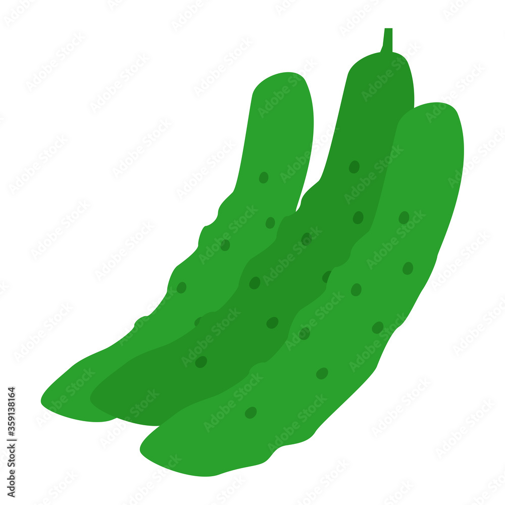 取れたて新鮮なキュウリのイラスト Stock Vector Adobe Stock