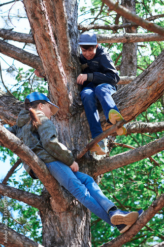 Girl and boy playing outdoor, climbing a tree, bright sunlight, beautiful day