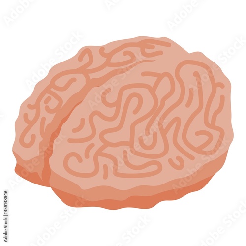 Zombie brain icon. Isometric of zombie brain vector icon for web design isolated on white background