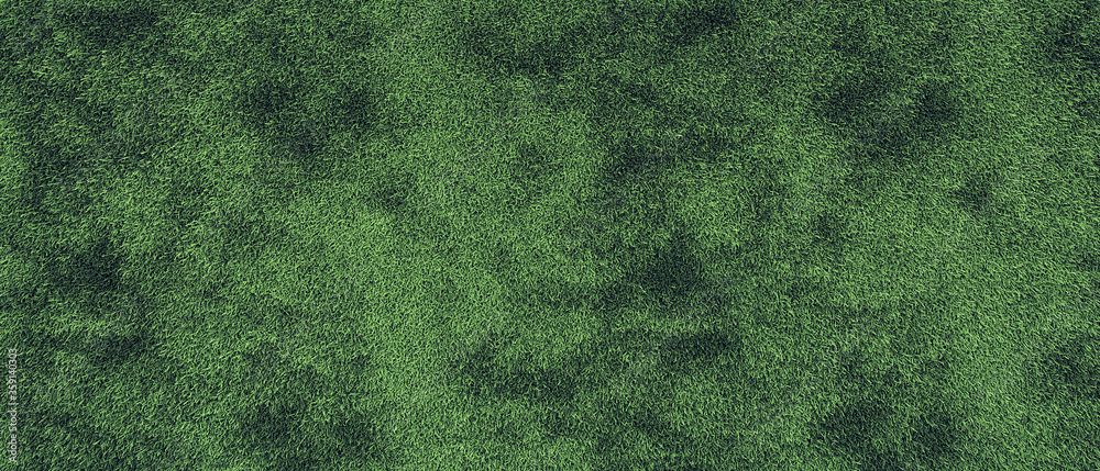 Green grass texture Green grass texture