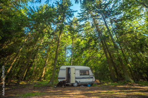 motor home in the forest