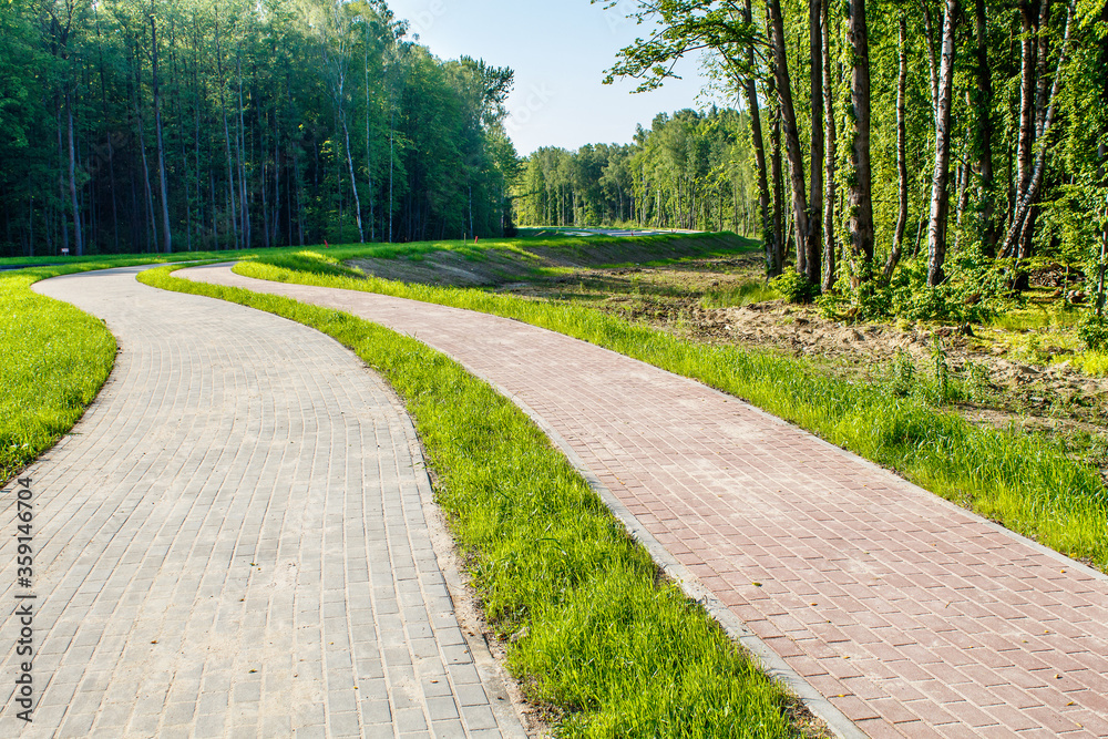 Fototapeta premium new modern road through the forest