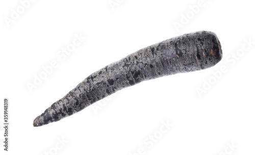 Fresh raw black carrot isolated on white