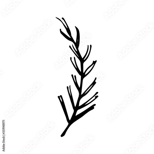 Fototapeta Naklejka Na Ścianę i Meble -  Hand drawing flower and leaves branch