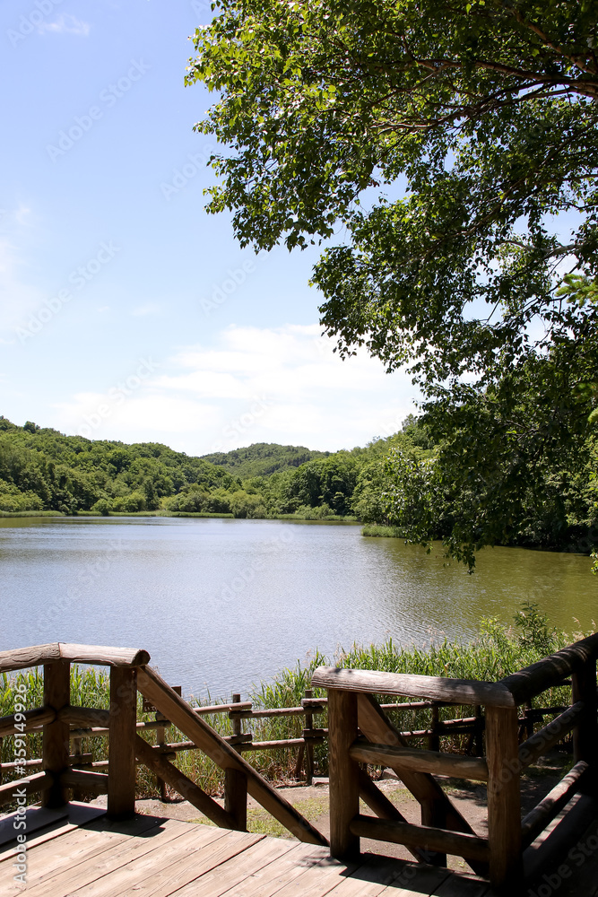 公園、池、貯水池、緑、自然、樹木、葉、植物、景色、湖、空、青空