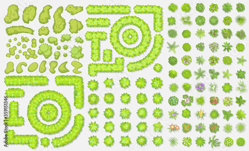 Green fence, trees, bushes. (Top view) Different plants and trees vector set for architectural or landscape design. (View from above) Nature green spaces.