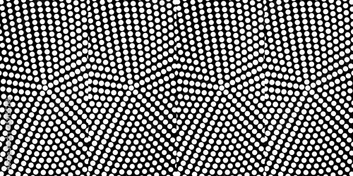 Abstract monochrome half-ton White and black texture with dot