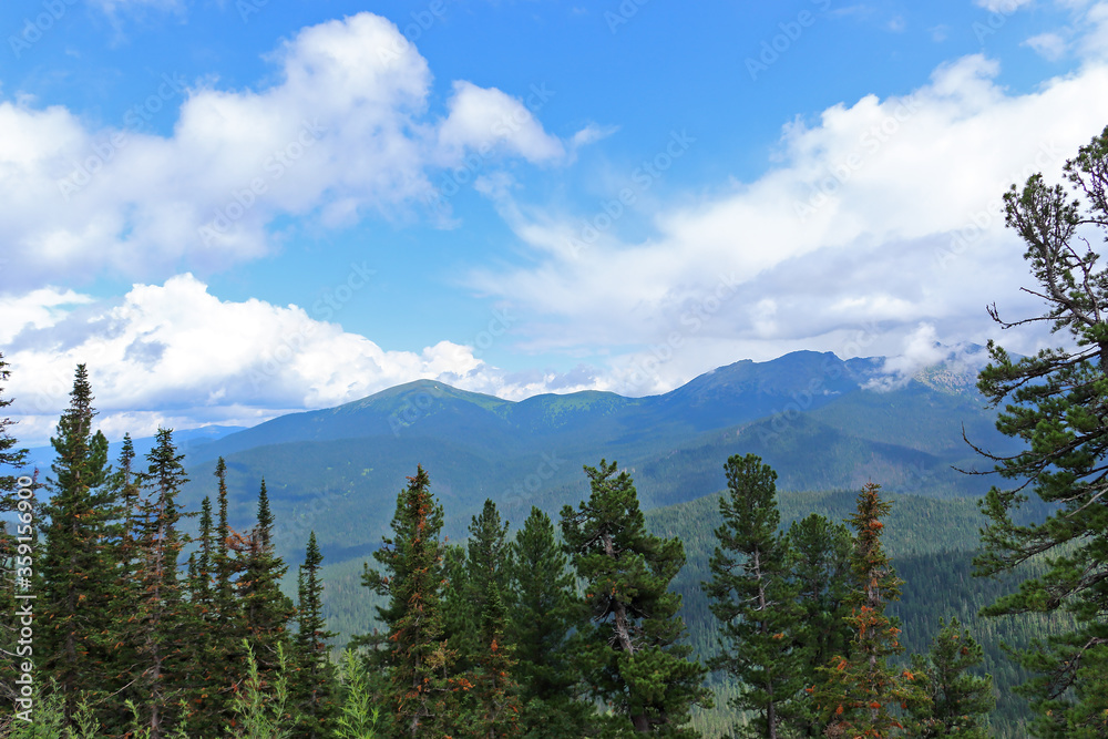 Summer forest landscape in the Sayan mountains. Nature Park Ergaki, Russia, Siberia.