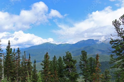 Summer forest landscape in the Sayan mountains. Nature Park Ergaki, Russia, Siberia.