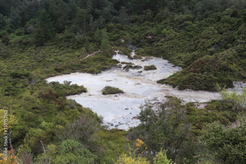 Lac d'eau chaude à Whakarewarewa, Nouvelle Zélande	 photo