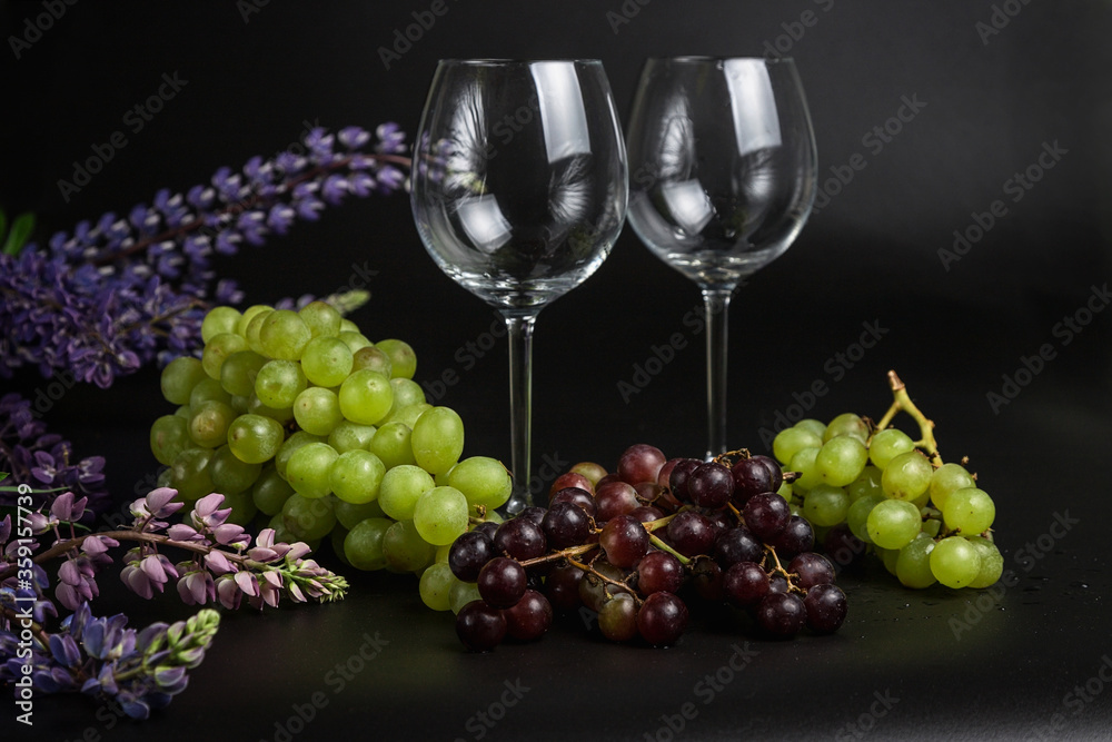 Still life on a black background. A glass wine glass and grape vine. Lupins on the black.