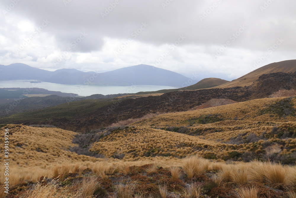 Obraz premium Lande du parc Tongariro, Nouvelle Zélande