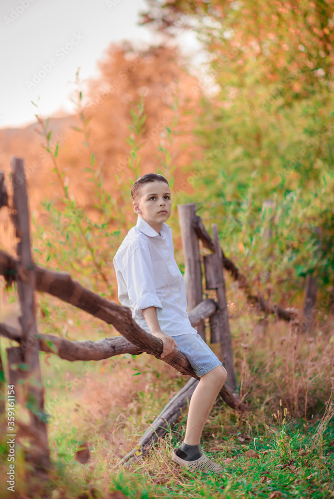 Naklejka premium portrait of a handsome boy