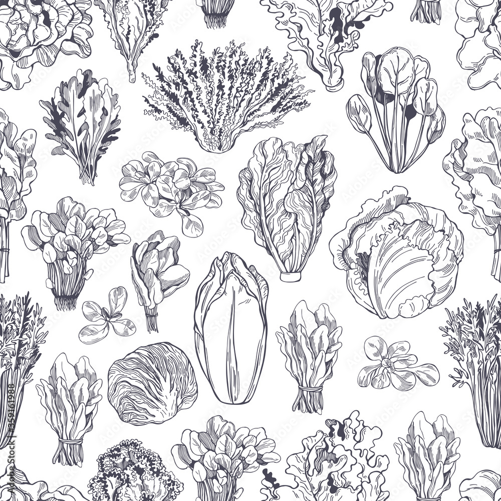 Hand drawn different kinds of lettuce on white background. Vector  seamless pattern - obrazy, fototapety, plakaty 