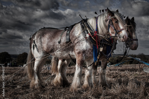 Ploughing the Fields