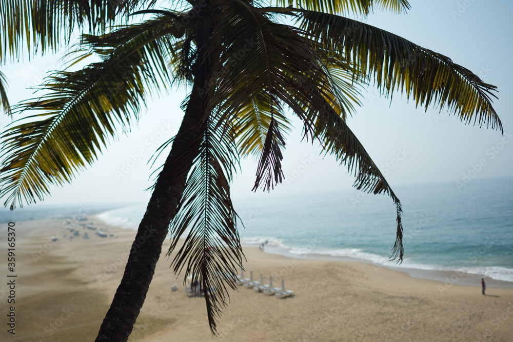Fototapeta premium Palm and Ocean coast with big waves in India