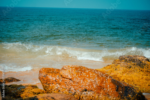 Palm and Ocean coast with big waves in India photo
