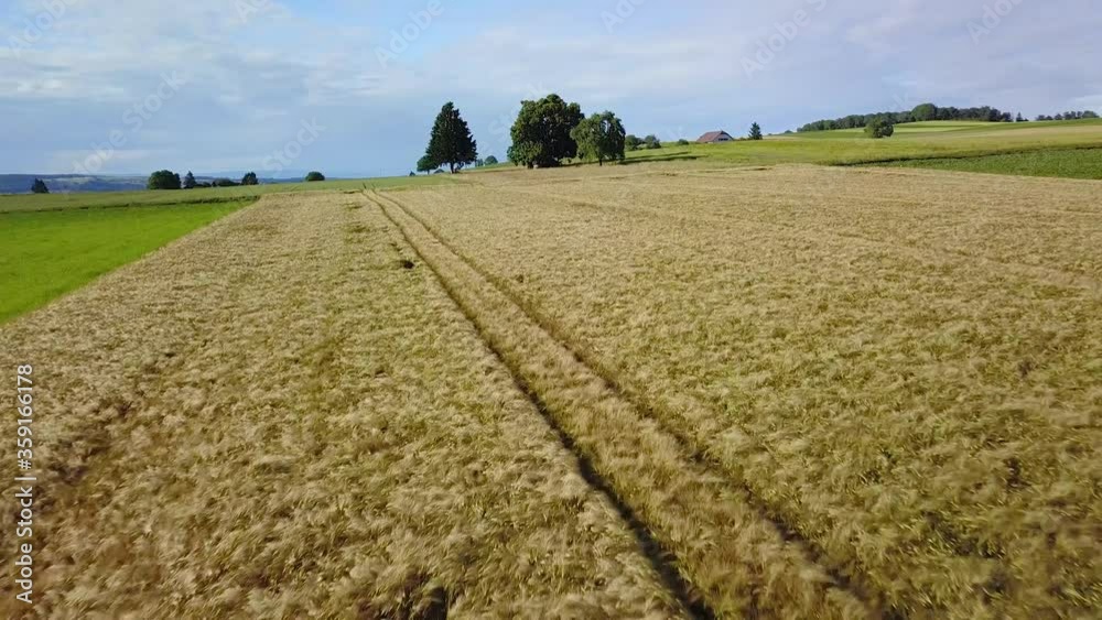 Vue aérienne par drone au-dessus de la campagne ensoleillée et de ses champs de culture dans le canton de Vaud en Suisse romande le vol est calme avec un vol à très basse altitude
