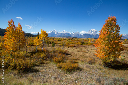 Grand Teton