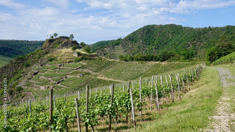 Weinberge an der Ahr, Weinanbau, Kulturlandschaft