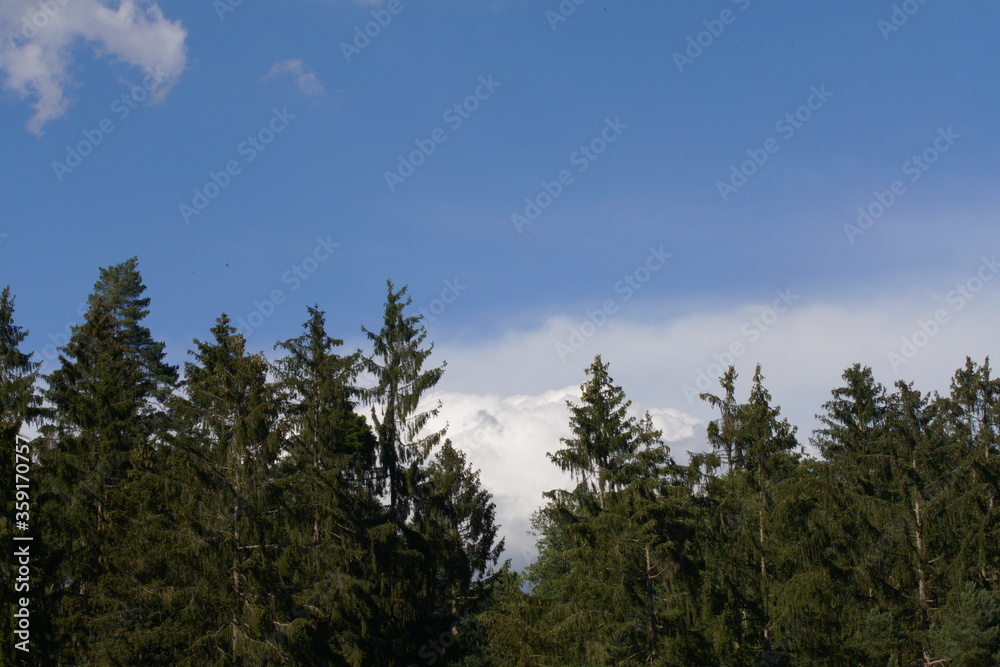 Schwarz Wald Panorama Schwarz Wald Panorama