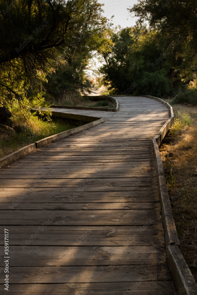 Wooden walkway in the middle of nature. Accessibility. Tablas de Daimiel National Park. Spain. Wooden walkway in the middle of nature. Accessibility. Tablas de Daimiel National Park. Spain.
