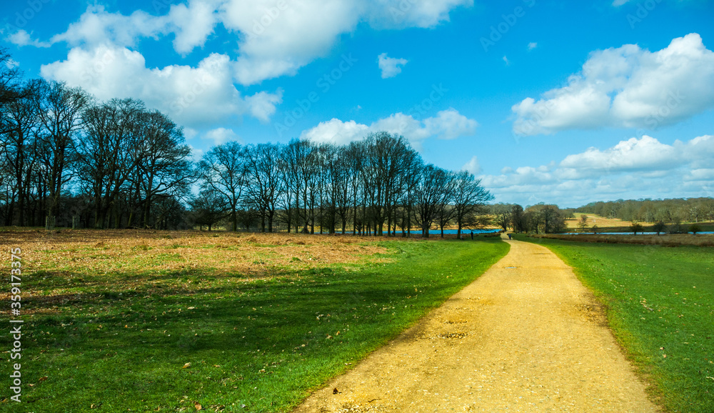 Naklejka premium richmond park