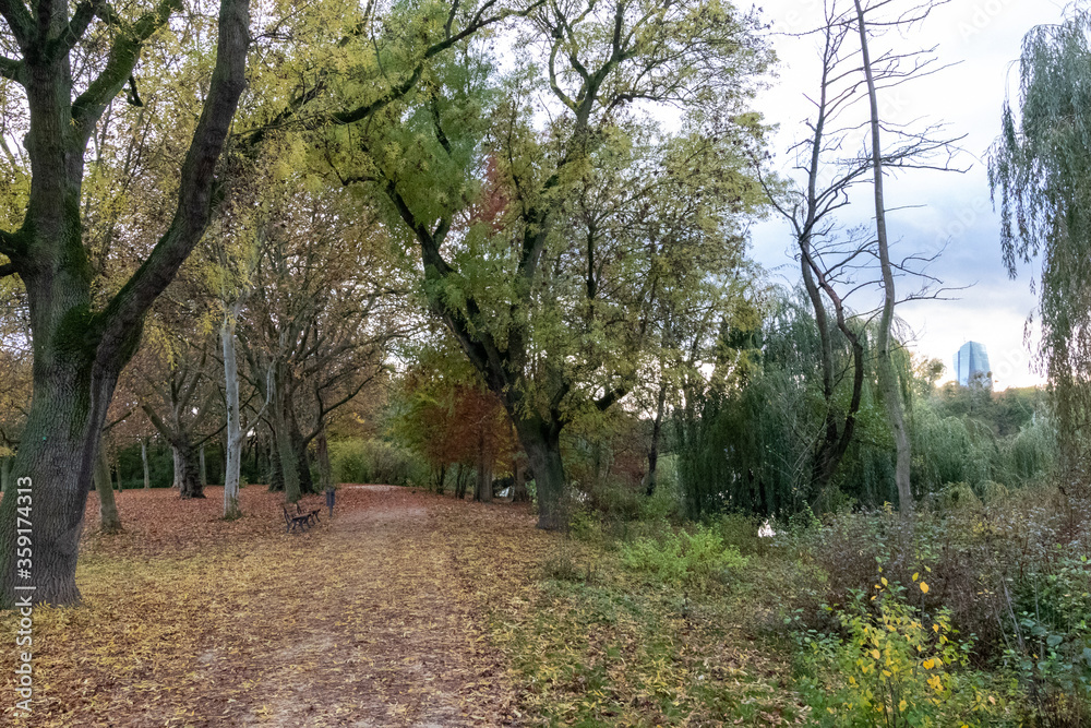 a path through the park with the european central bank vissible a path through the park with the european central bank vissible