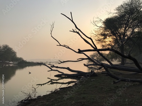 Thol Wildlife Cenctuary, Gujarat photo