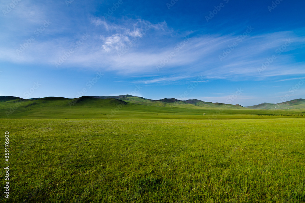 Scenery of the Mongolian meadows with azure blue sky, lush grass fields and green small hills on the back , Mongolia