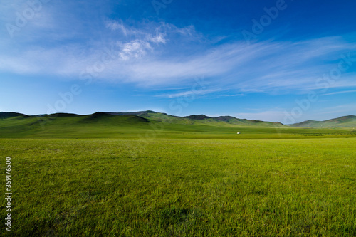 Scenery of the Mongolian meadows with azure blue sky  lush grass fields and green small hills on the back   Mongolia