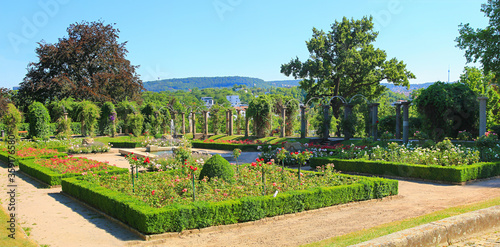 Fototapeta Naklejka Na Ścianę i Meble -  public Rosenstein park at the hill, Stuttgart, with fountain and rose flowers