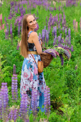 Beautiful woman with a basket of lupine flowers in a field. Woman with long hair in the wind and dressed in a long summer dress. Fashion model