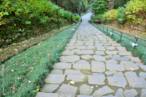 Fototapeta Naklejka Na Ścianę i Meble -  日本の秋の石畳の階段を上から見た景色