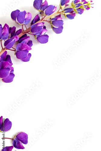 Beautiful purple flowers on a wooden base. Background for presentation and design of graphic works.