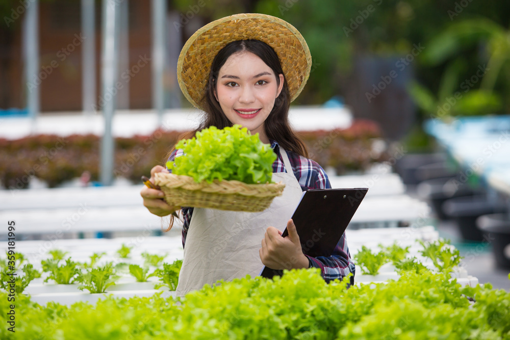 Beautiful female farmers are studying in Grow vegetables for quality analysis to collect data Check the quality and quantity of production of organic vegetables at modern hydroponic farms.